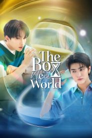 The Boy Next World (2025)